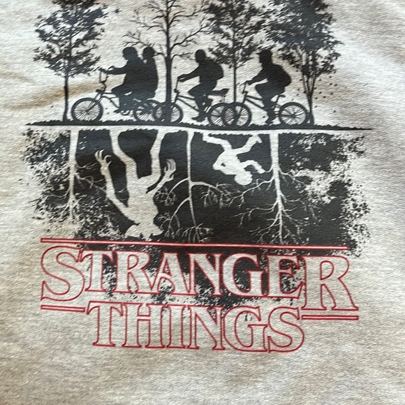 Stranger Things The Upside Down Logo Pullover Hoodie - Picture 1 of 4